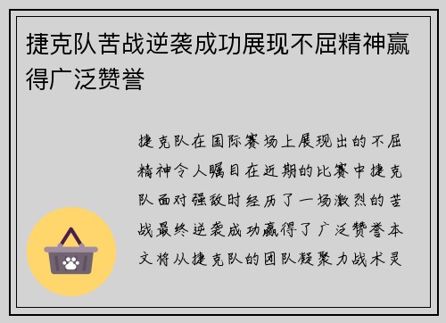 捷克队苦战逆袭成功展现不屈精神赢得广泛赞誉