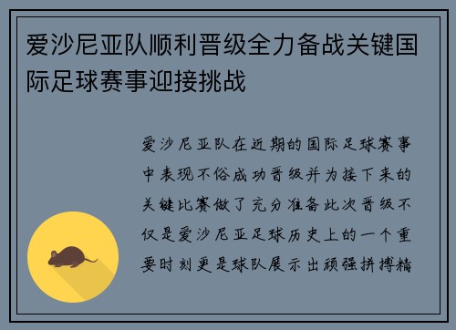 爱沙尼亚队顺利晋级全力备战关键国际足球赛事迎接挑战