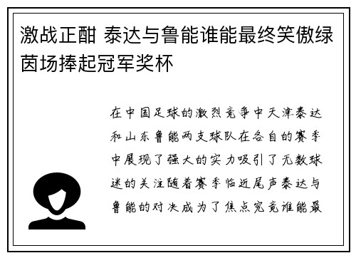激战正酣 泰达与鲁能谁能最终笑傲绿茵场捧起冠军奖杯