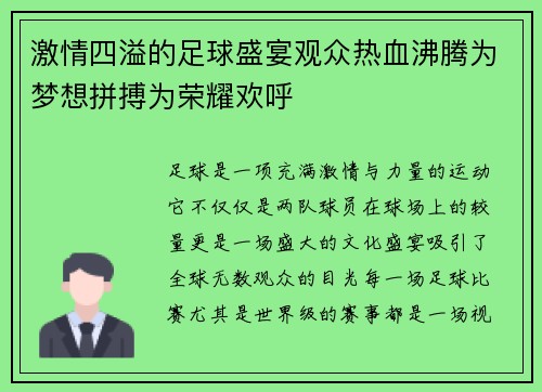 激情四溢的足球盛宴观众热血沸腾为梦想拼搏为荣耀欢呼