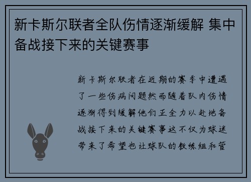 新卡斯尔联者全队伤情逐渐缓解 集中备战接下来的关键赛事